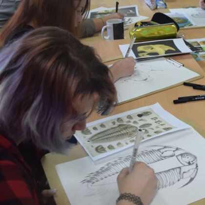 Pupils drawing fossils