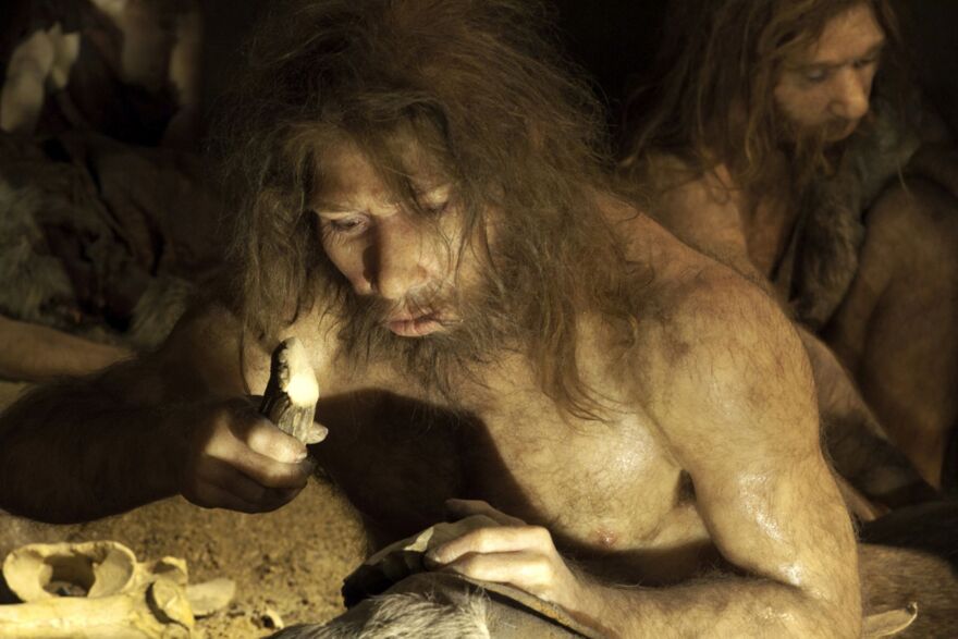Head shot of a reconstruction of a Neanderthal man.