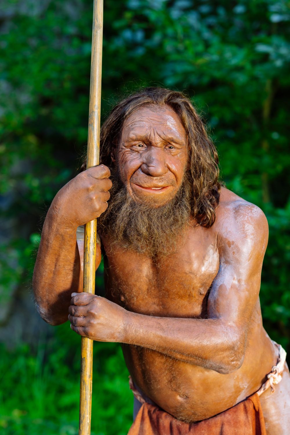 Life-size reconstruction of a Neanderthal man