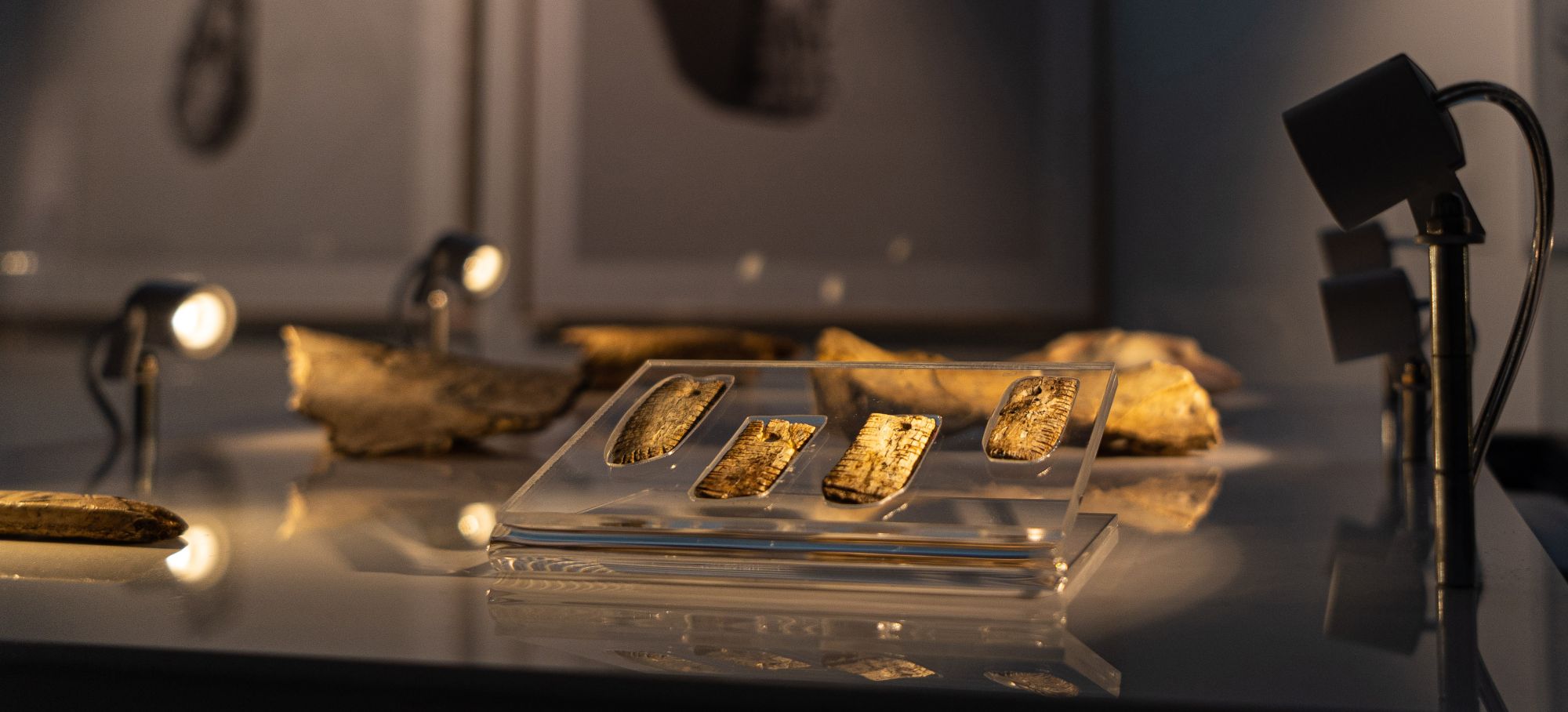 Archeological objects in one of the museum's showcases