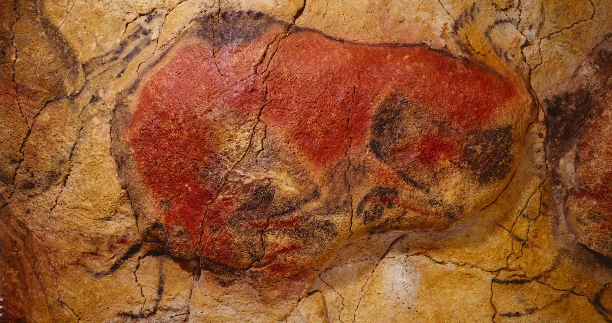 Depiction of a bison on rock