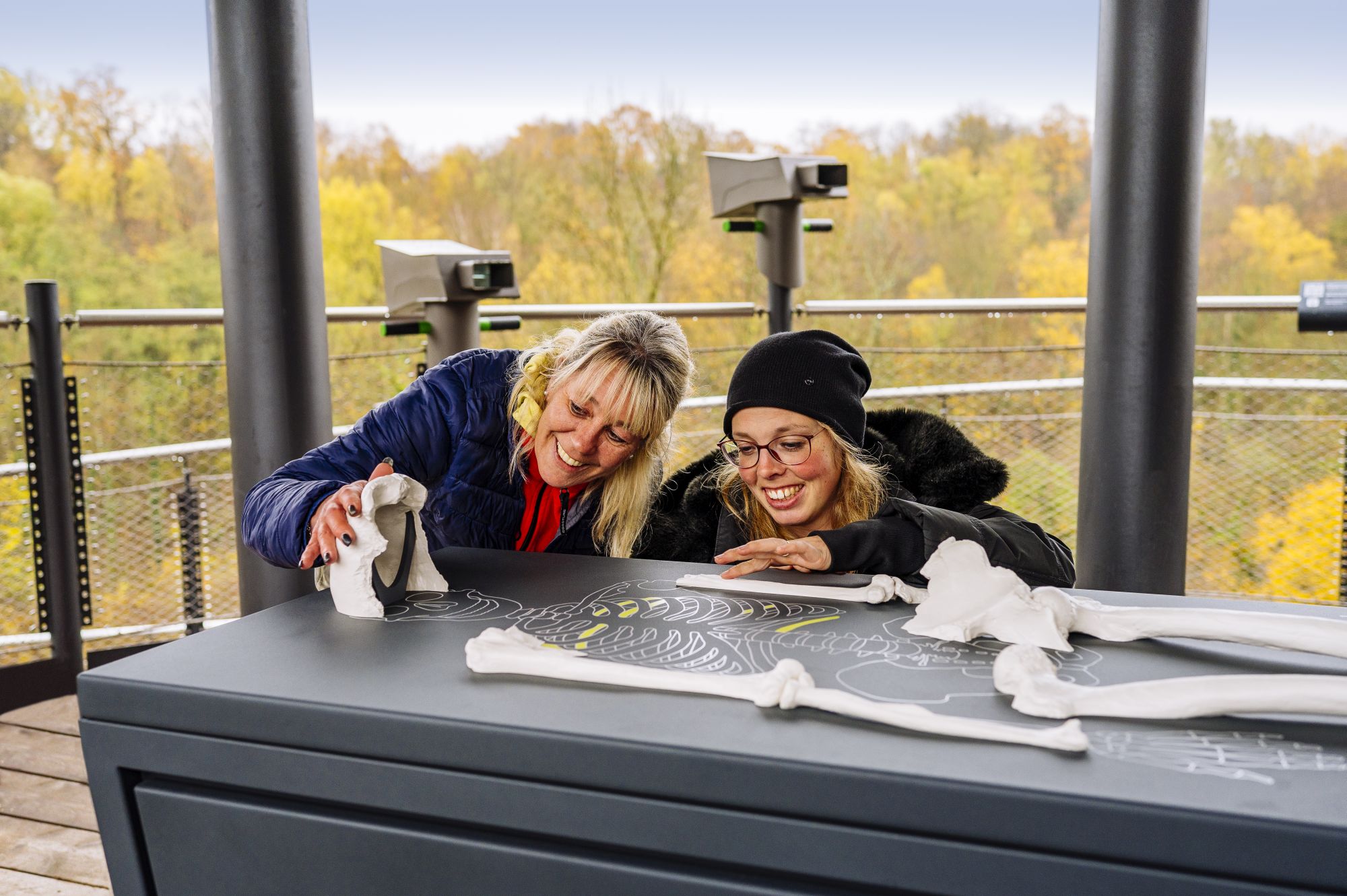 Two visitors exploring a tactile exhibit of bones