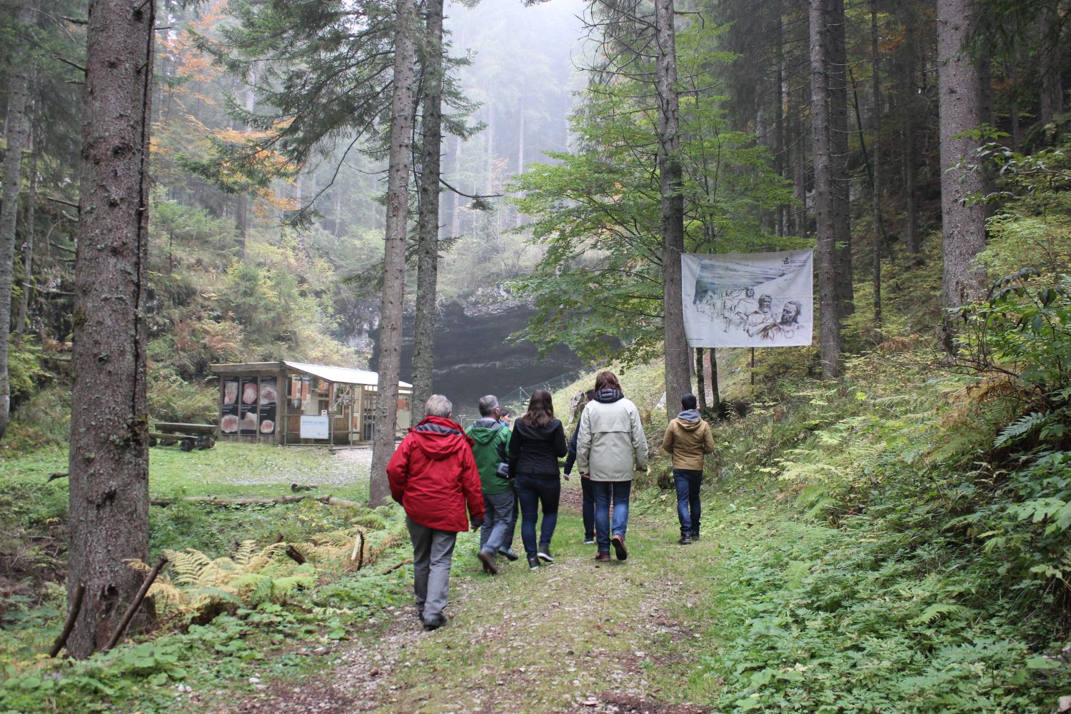 A group walking through wood